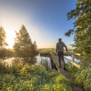 Person walks across a wooden bridge over water at sunrise, surrounded by lush green grass and trees.