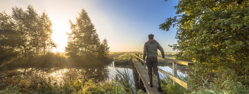 Person walks across a wooden bridge over water at sunrise, surrounded by lush green grass and trees.
