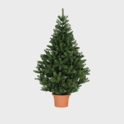 A potted artificial Christmas tree with dense green branches against a plain white background.