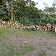 Cut logs are stacked in a long row near trees, with grass and houses visible in the background.