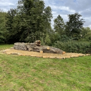 Large fallen tree trunk and cut logs lying on grass, surrounded by trees and greenery under a partly cloudy sky.