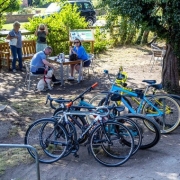 Several bicycles are parked by a tree; people sit at outdoor tables, eating and talking in the background.