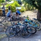 Several bicycles are parked by a tree; people sit at outdoor tables, eating and talking in the background.