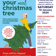 Person carries Christmas tree; text explains how and where to recycle real trees in Braintree, Essex, January 2024.
