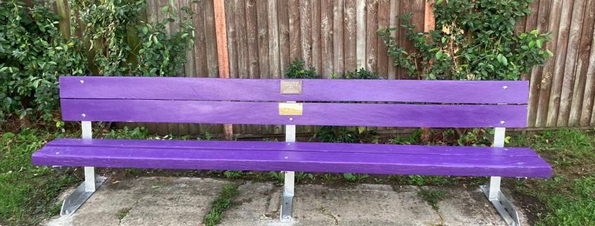 A long purple wooden bench with metal legs stands in front of a wooden fence and greenery.